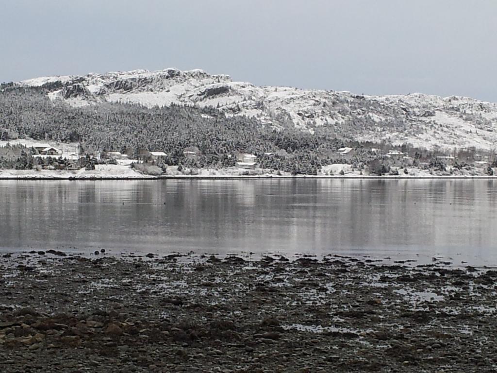 The Spaniards Room Heritage Home Spaniards Bay Екстер'єр фото
