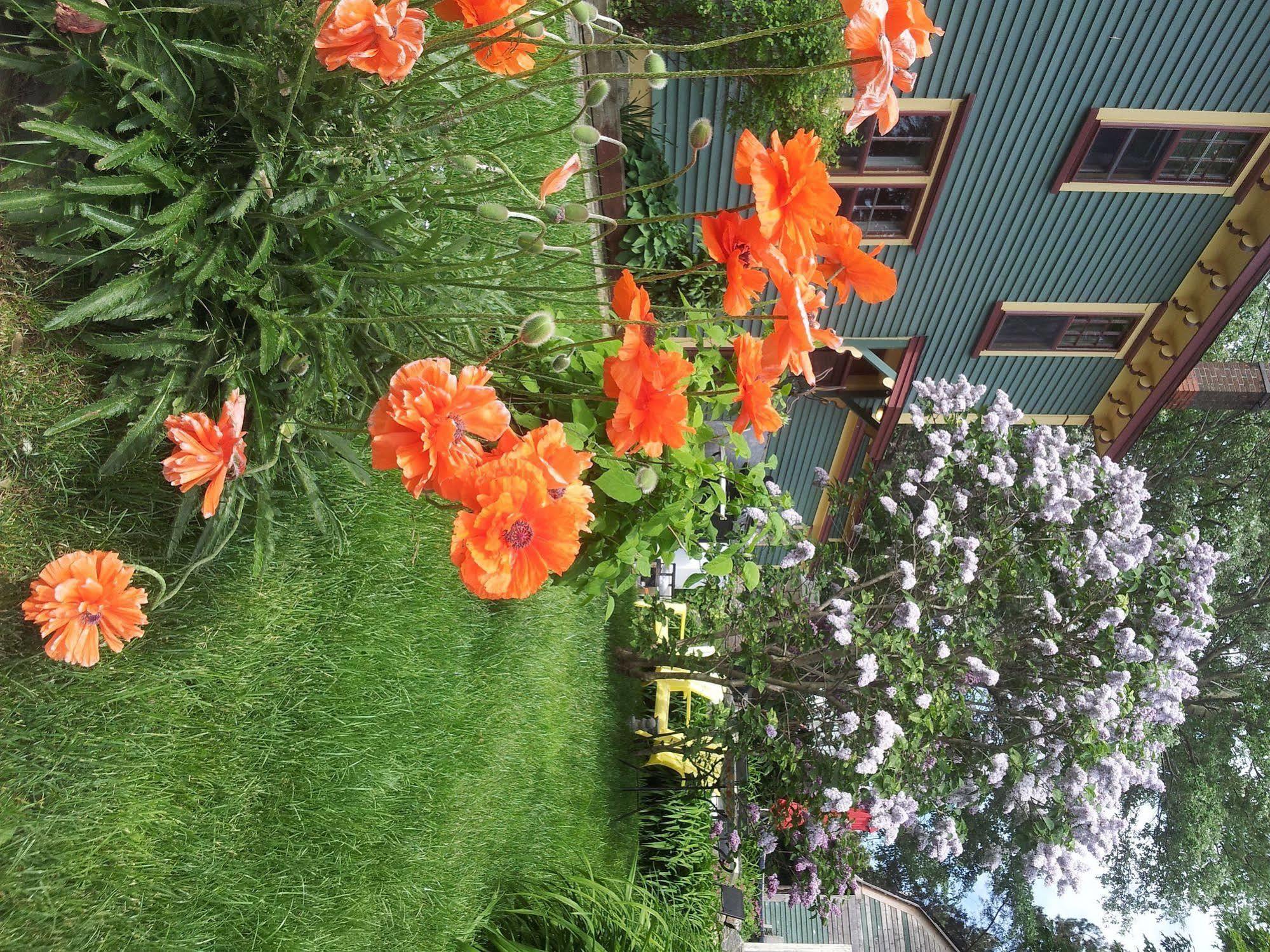 The Spaniards Room Heritage Home Spaniards Bay Екстер'єр фото